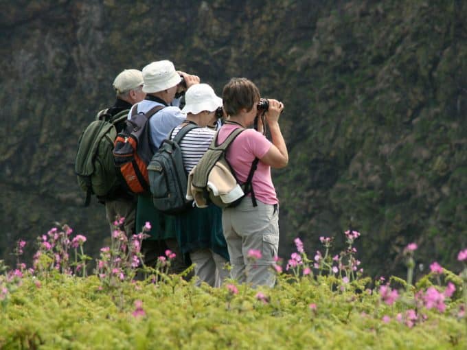 Vier Menschen stehen auf einer blühenden Wiese und betrachten etwas aus der Ferne mit dem Fernglas. 